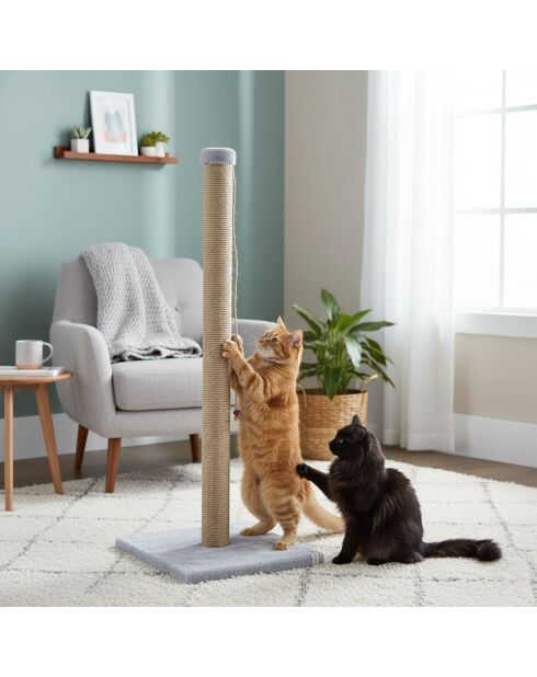 Tiragraffi Aero Cat grigio - 37,5x37,5x102 cm