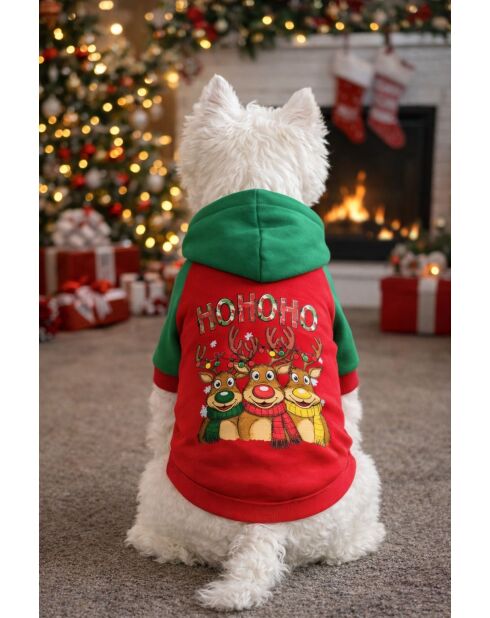HOHOHO Noel M rode hondenhoodie