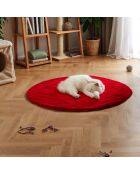 Couverture pour chat rouge - 50x50 cm