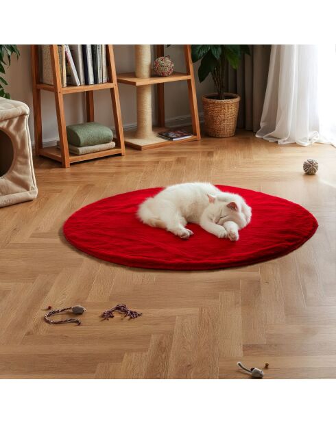 Couverture pour chat rouge - 50x50 cm