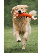 Giocattolo per cani arancione Havhav 1040
