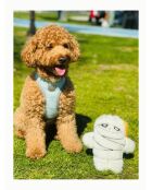 Giocattolo per cani Havhav 1017 bianco - 22x20 cm