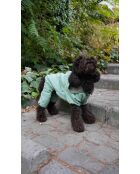 Impermeabile per cani verde Sihirli XL