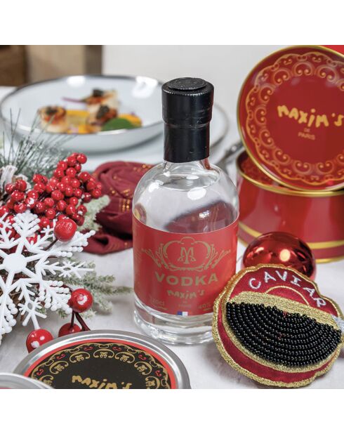 Bouteille de Vodka 20 cl