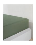 Drap housse jersey en coton olive