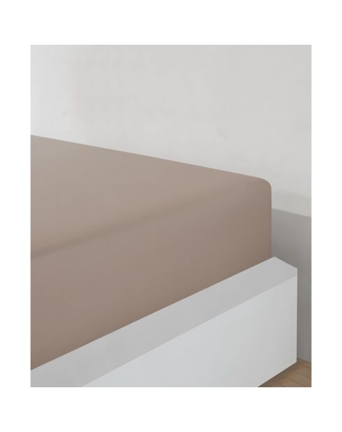 Drap housse jersey en coton beige