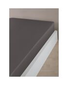 Drap housse en coton anthracite - 90x190 cm