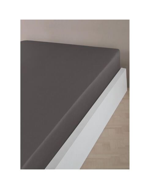 Drap housse en coton anthracite - 90x190 cm