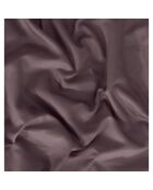 Set di 2 federe in cotone viola - 63x63 cm