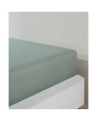 Sábana bajera ajustable de punto de algodón celadón