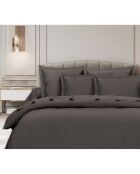 Drap plat en coton anthracite - 240x300 cm