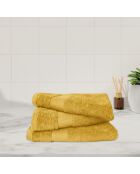Lot de 3 maxi draps de bain en coton safran - 100x150 cm