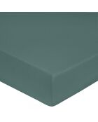 Lenzuolo con angoli elasticizzati in 100% cotone Celadon