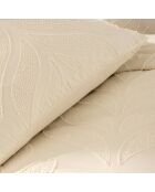 Set de marfil Calita de 3 piezas, 240 x 220 cm