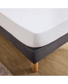 Protege matelas en coton Scotty Aa 30 blanc