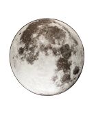 Alfombra redonda de exterior gris luna, 280 x 280 x 0,4 cm