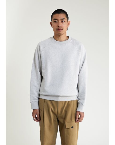 Rhodegrijze sweater - LICHTGRIJS