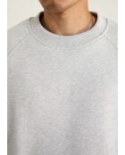Rhodegrijze sweater - LICHTGRIJS