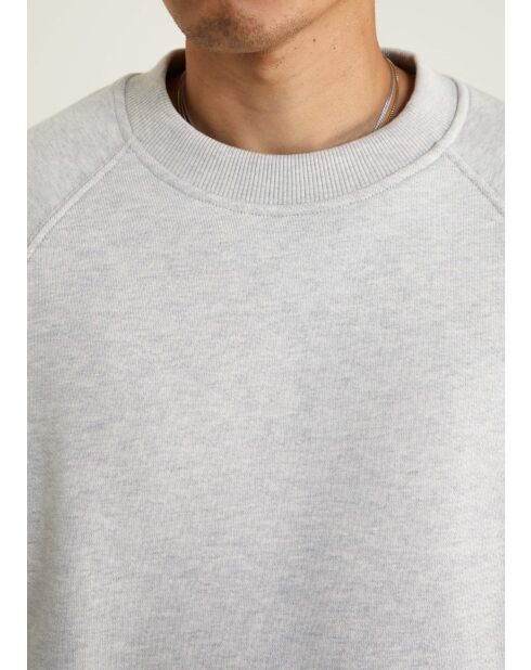 Rhodegrijze sweater - LICHTGRIJS