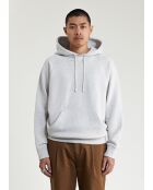 Grijze hoodie Michigan - LICHTGRIJS