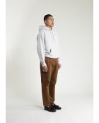 Grijze hoodie Michigan - LICHTGRIJS