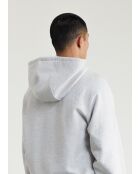 Grijze hoodie Michigan - LICHTGRIJS