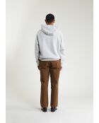 Grijze hoodie Michigan - LICHTGRIJS