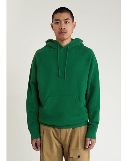 Groene hoodie Michigan - GROEN