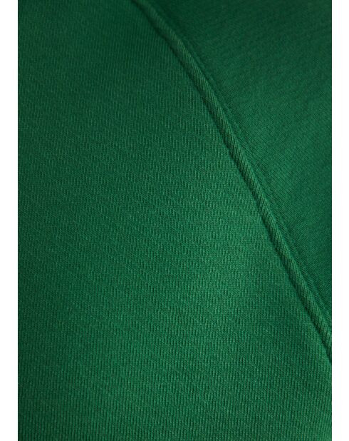 Groene hoodie Michigan - GROEN