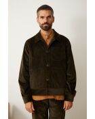 Chaqueta caqui oscuro Bergame - VERDE BOSQUE