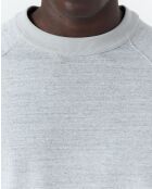 Lowell heather grijs sweatshirt - GRIJS