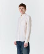 Camisa Calvi amarilla y blanca - AMARILLO/BLANCO