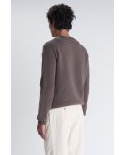 Maglione Trevise taupe - TAUPE
