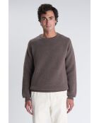 Maglione Trevise taupe - TAUPE