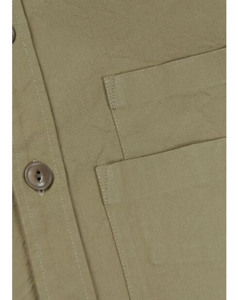 Camisa Benton sage - SAUGE