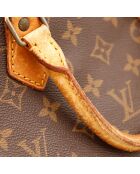 Le Speedy 40 Louis Vuitton
