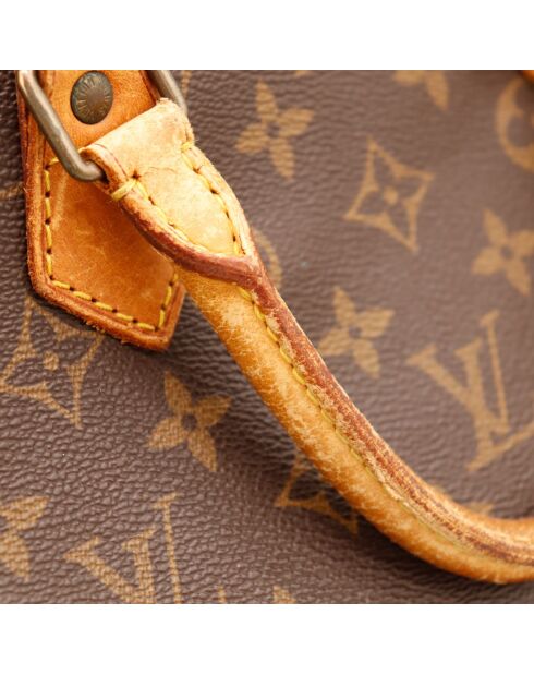 Le Speedy 40 Louis Vuitton