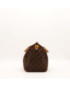 Le Speedy 30 Louis Vuitton