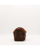 Le Speedy 25 Louis Vuitton