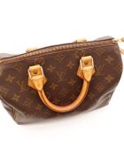Le Speedy 30 Louis Vuitton