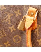 Le Speedy 30 Louis Vuitton
