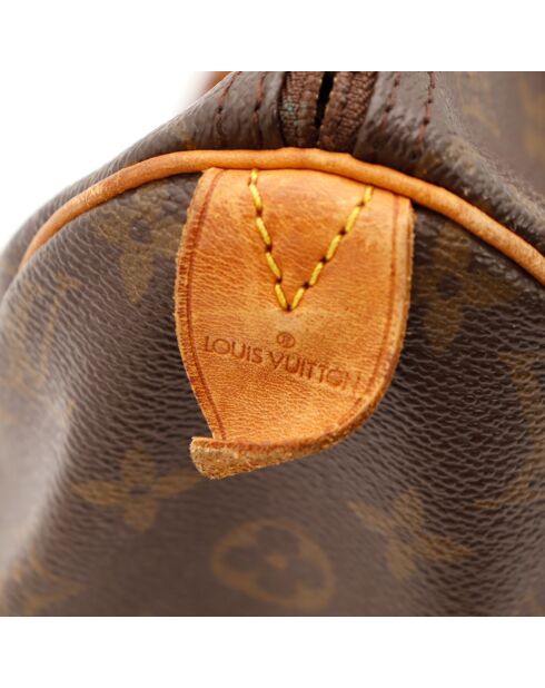Le Speedy 30 Louis Vuitton