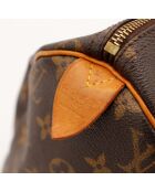 Le Speedy 30 Louis Vuitton