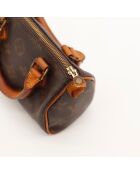 Le Speedy Nano Louis Vuitton