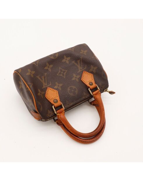 Le Speedy Nano Louis Vuitton