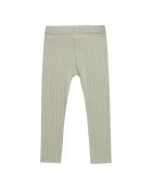 Leggings in cotone a costine verde acqua