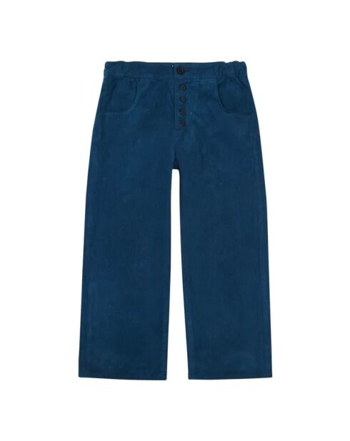 Pantaloni Erodium in cotone a costine blu marino