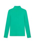Dolcevita in cotone a collo alto verde