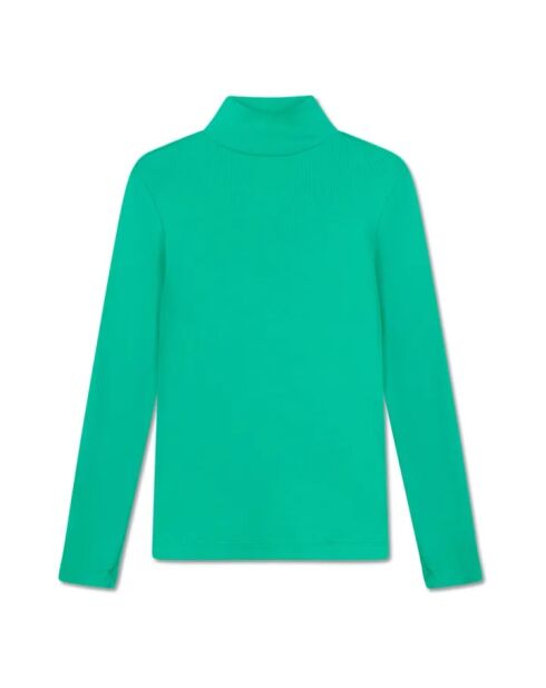 Baumwoll-Rollkragenpullover grüner Rollkragenpullover