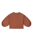 Braunes schlichtes Baumwoll-Sweatshirt mit Rundhalsausschnitt
